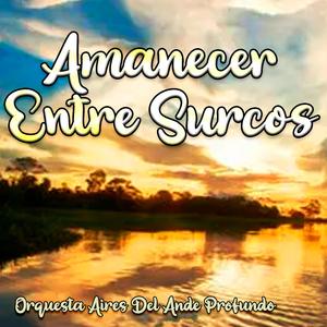 Amanecer Entre Surcos