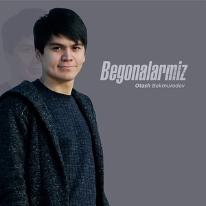 Begonalarmiz