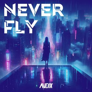 Never Fly (Extended Edit)