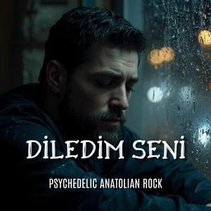 Diledim Seni