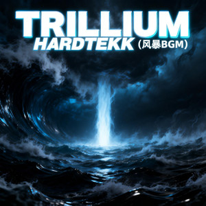 TRILLIUM HARDTEKK（风暴BGM）