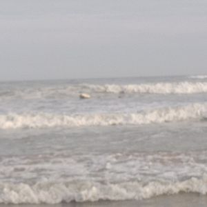 你好前任（原唱：陈雪凝）