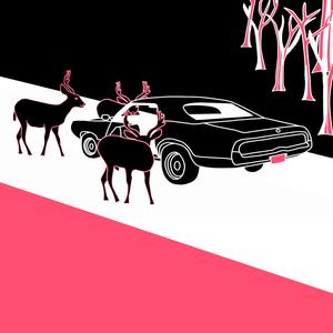 Boys in the Woods ("Fire to the Fools" Megamix) ("Fire to the Fools" Megamix)