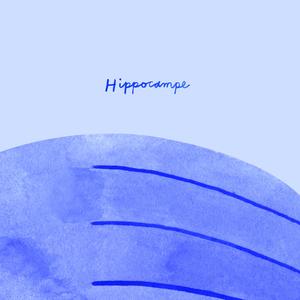 Hippocampe