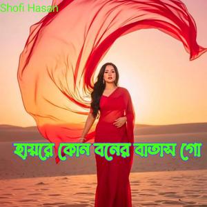 হায়রে কোন বনের বাতাস গো