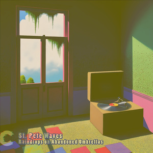 Raindrops on Abandoned Umbrellas