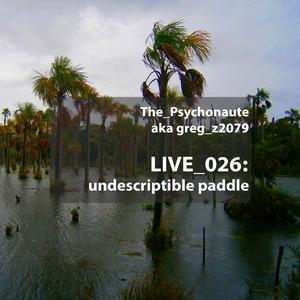 undescriptible paddle