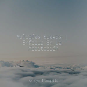 Lluvia Distorsionada