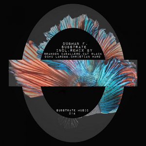 Substrate (Christian Haro Remix)