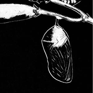 too late (prod. by doublexface)