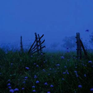 Where is my mind? (Remix)