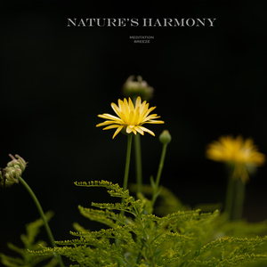 Nature's Harmony