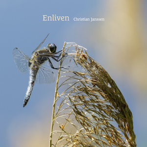 Enliven