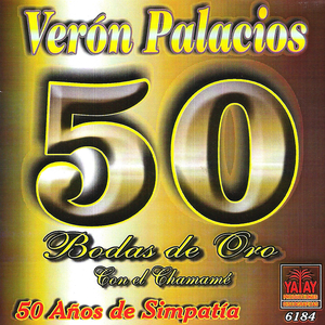 Sentida Ausencia