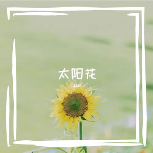 太阳花