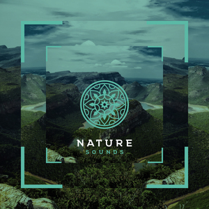 Золоті Луки