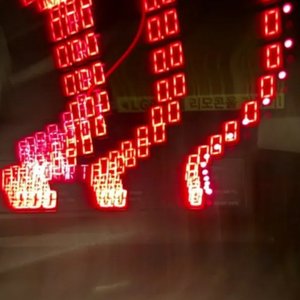 Interludio Compuesto Por Un Gato