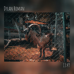 Anne's Intro / En Mi Sueños