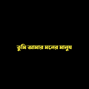 তুমি আমার মনের মানুষ