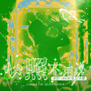 心照不用说(刘忻2025生日应援曲)