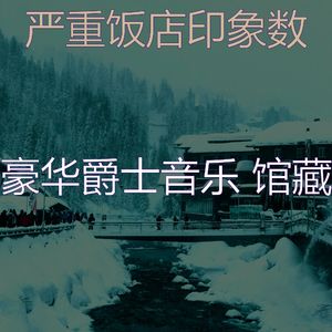 柔和的饭店时刻