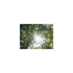 Sleep BGM Gear and Anxiety (Sleep BGM)