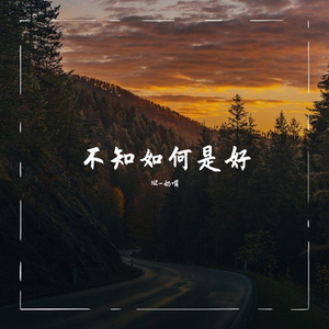 不知如何是好（Prod.KnowGoo）