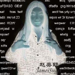 私语言（privacy language）