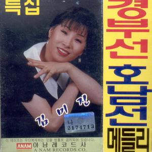 비에 젖은 주막/무주구천동/흑산도 아가씨/삼백리 한려수도/진도아리랑/영암아리랑/안개낀 목포항/영산강아 말해다오/영산강처녀/해남아가씨/목포는 항구다