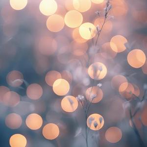 미지의 세계로 달려가자