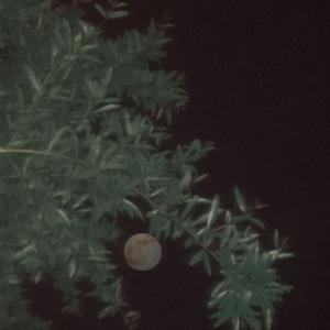 unknown(Prod.by CuD)