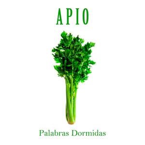 Palabras Dormidas