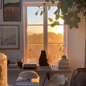 恋人同士 (0714 特别版)