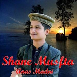 Shane Musfta