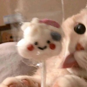 世界按下静音 只听见你心跳