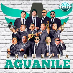 Mix Rancheras - Si te Pudiera Mentir, Inventame, A la Antiguita