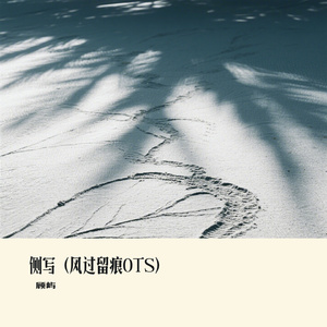 侧写（风过留痕OTS）