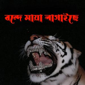 বন্দে মায়া লাগাইছে