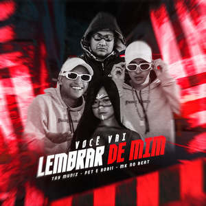 Você Vai Lembrar de Mim