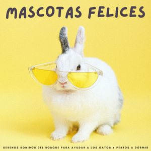 ¿Quieres Dar Un Paseo?