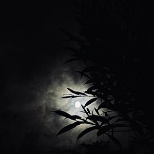 今夜我在巴艾涌想你