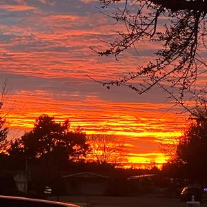 TribeSide (feat. DREWBIE & LC TwoHunnaa)