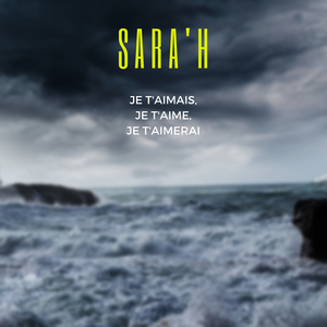 Je t'aimais, je t'aime, je t'aimerai