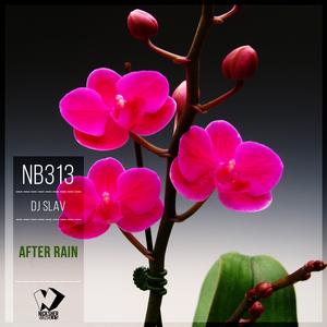 After Rain (Original Mix)