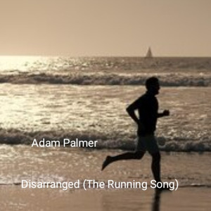 Disarranged ( The Running Song) (Live Lounge Version)