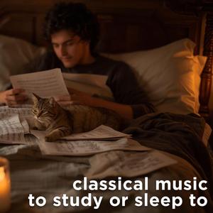 Orfeo ed Euridice, Wq. 30 (1762 Edition), Act II:No. 29, Ballo. Dance of the Blessed Spirits: a. Andante