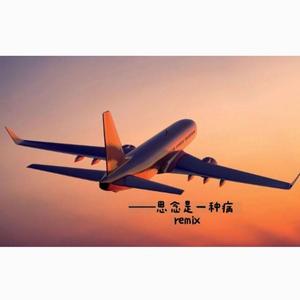 群星-思念是一种病remix（Swcake remix）