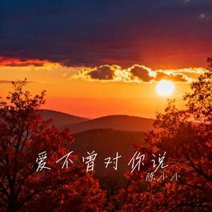 爱不曾对你说 (Cover 向思思)