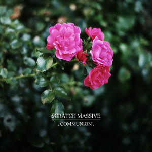 Nuit De Mes Rêves (Live Version)