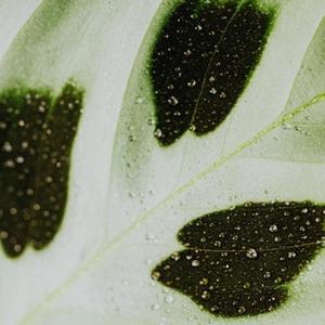 冥想音乐 不以己悲